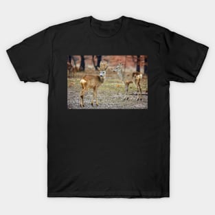 Roe deer family T-Shirt